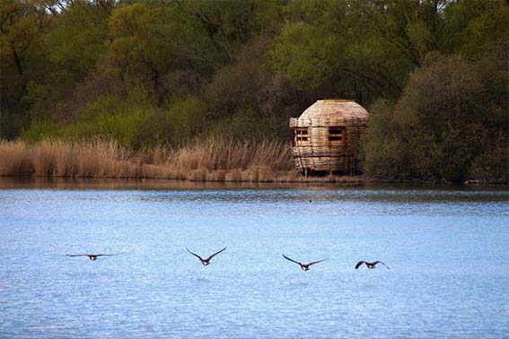 DESTINATION PARIS SACLAY ornitho SITE